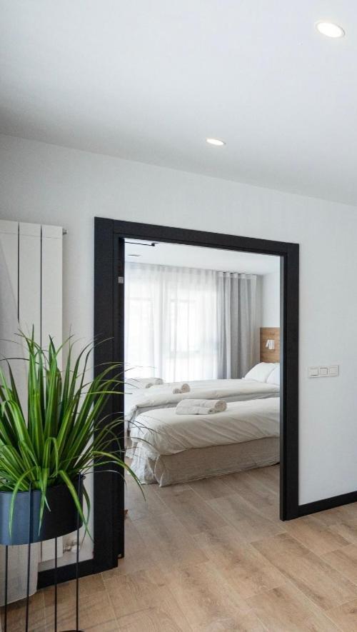 Donostia Rooms San Sebastian Luaran gambar